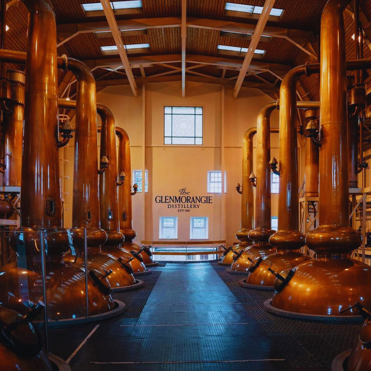Glenmorangie's stills stand as tall as Giraffe's at 5.14m the tallest in Scotland - Kent Street Cellars