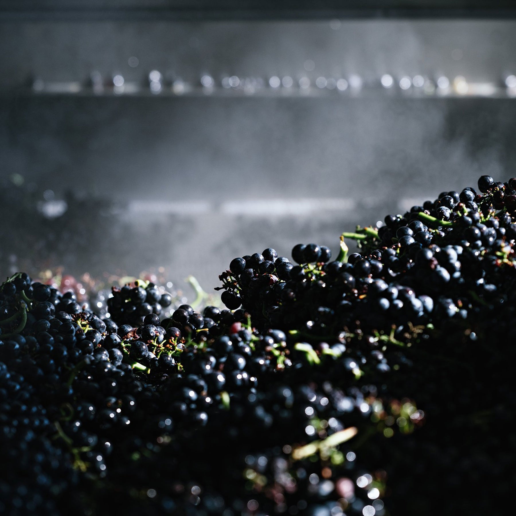 Domaine Chanson Beaune Teurons 1er Cru Rouge 2021