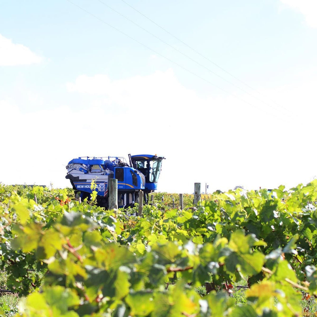 Parker Coonawarra Estate First Growth Cabernet Sauvignon 2021