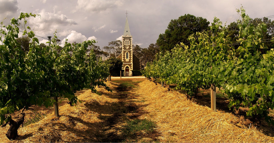 The Vineyard brand story