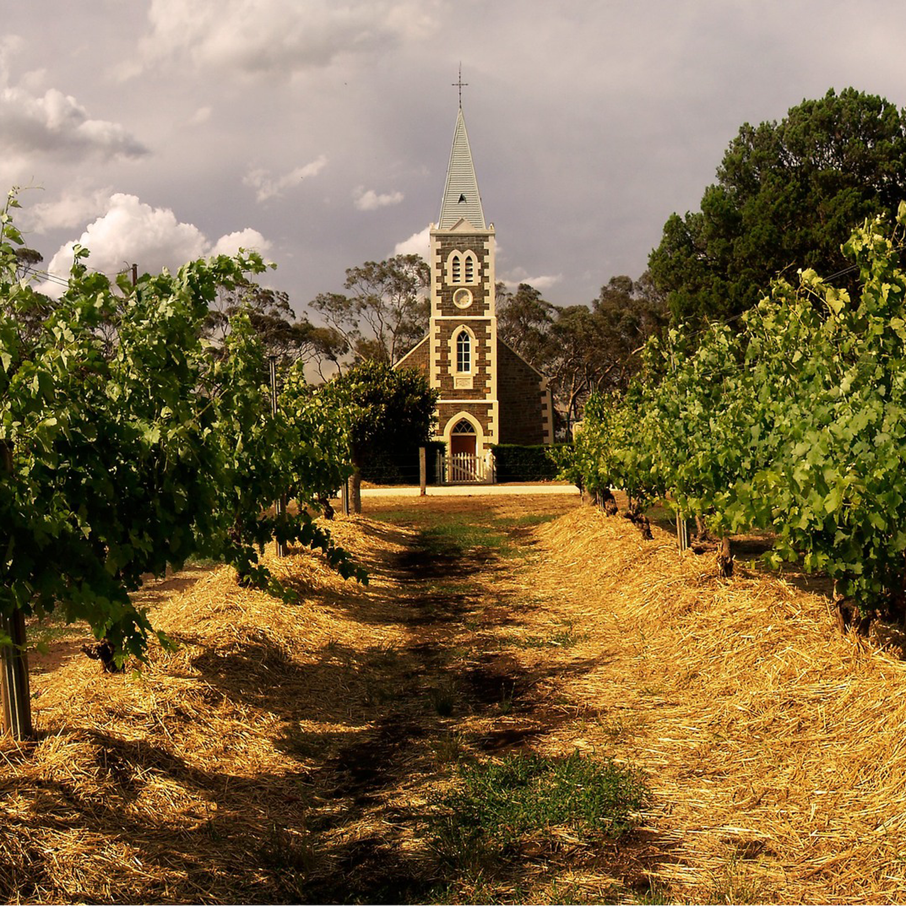 The beautiful and historic name Mount Edelstone is a translation from the German Edelstein meaning 'gemstone', a reference to the small yellow opals once found in the area. - Kent Street Cellars