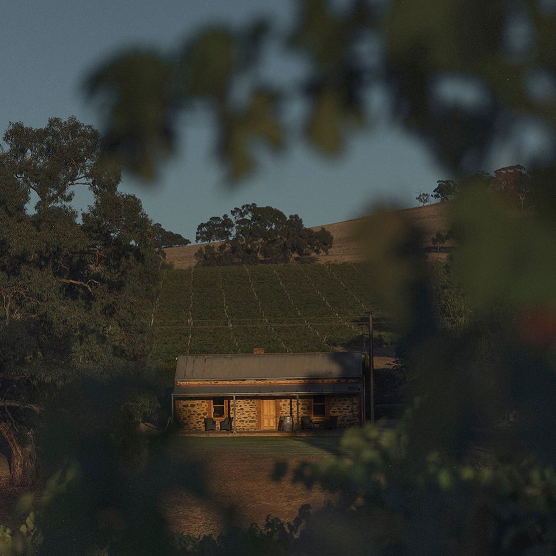 Hentley Farm Riesling 2022 - Kent Street Cellars