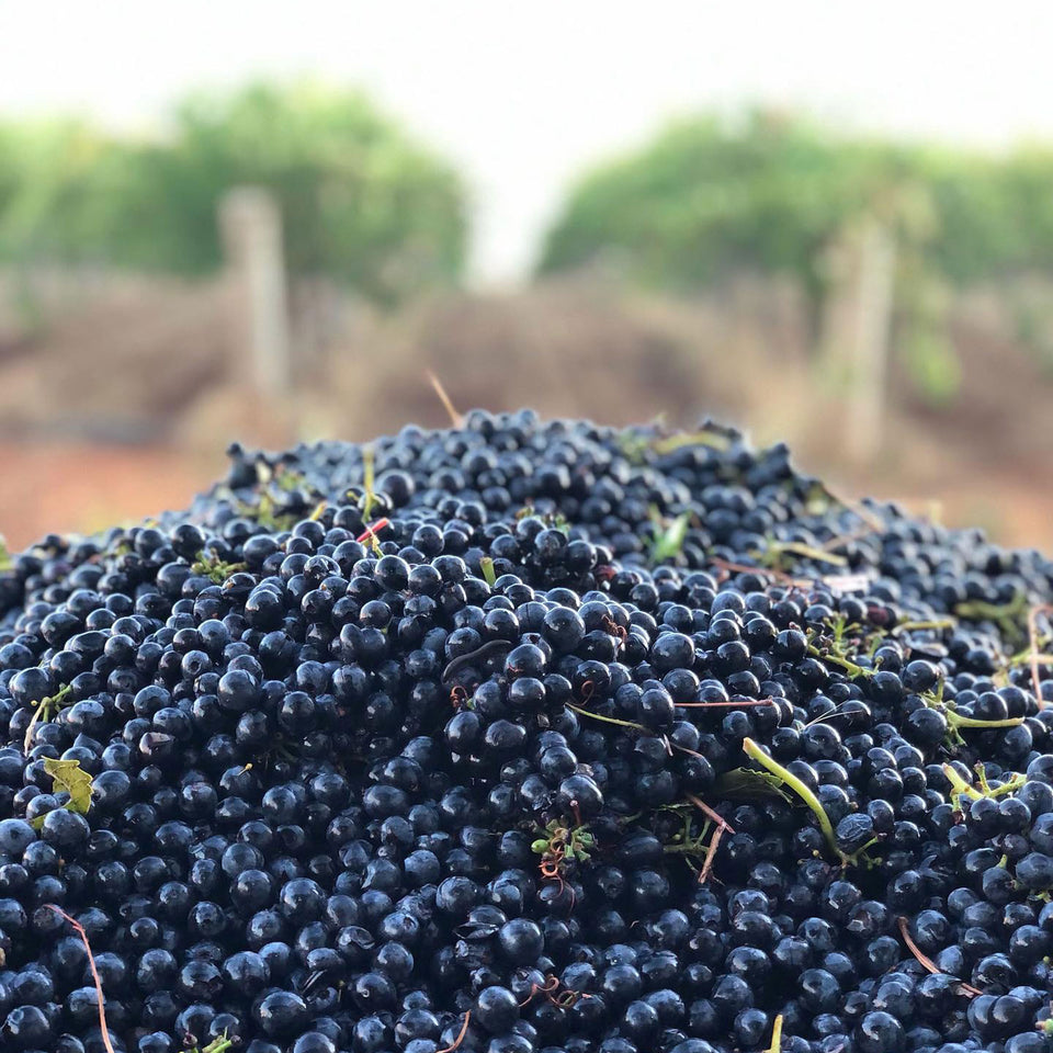 The Vineyard brand story