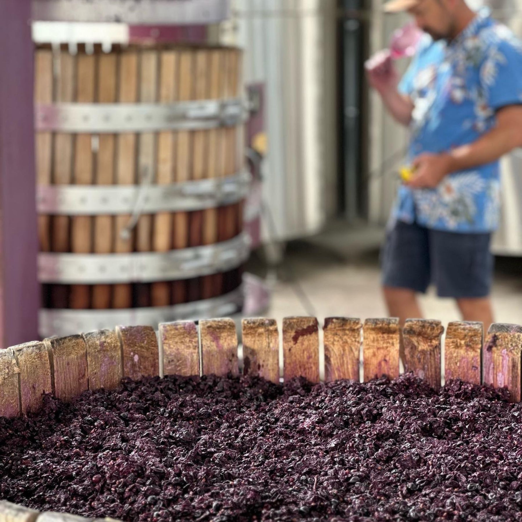 Hentley Farm The Beauty Shiraz 2022 - Kent Street Cellars