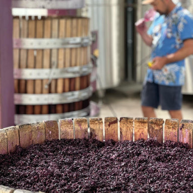 Hentley Farm The Beauty Shiraz 2014 - Kent Street Cellars