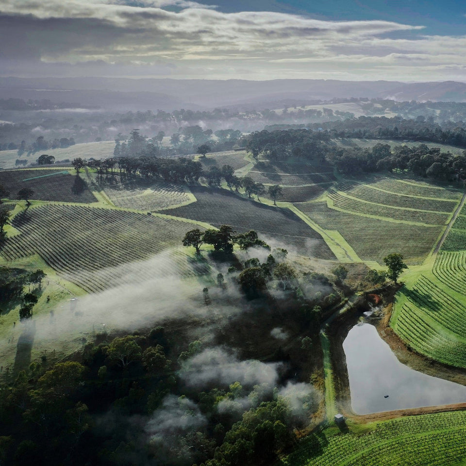 The Vineyard brand story
