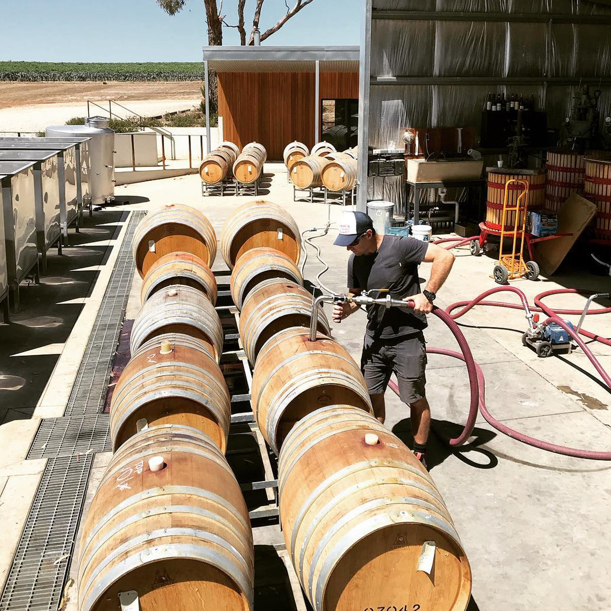 Izway Don Shiraz 2016