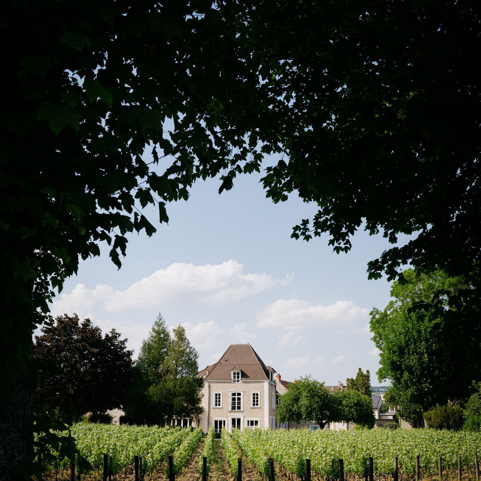 Champagne Jacquesson brand story