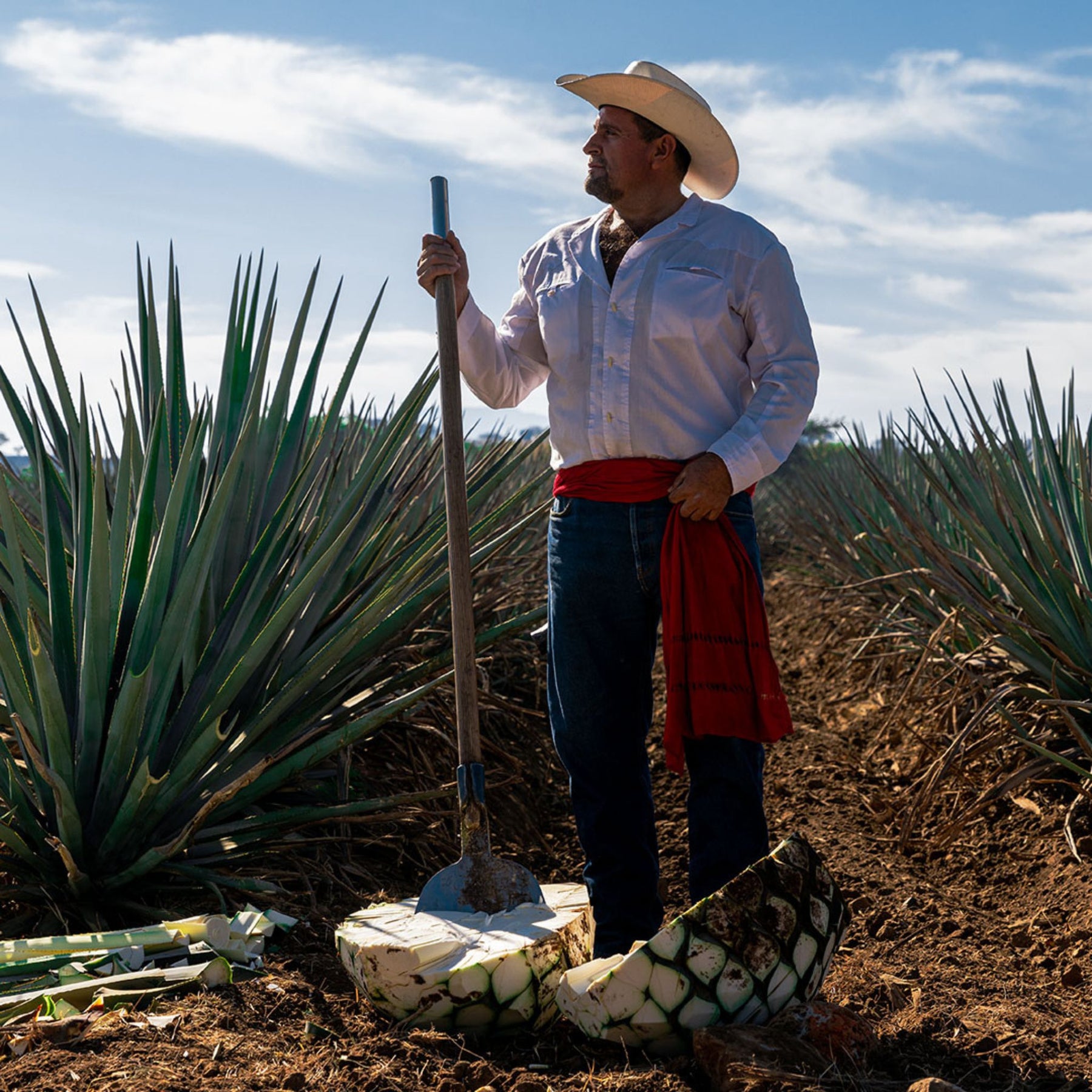 Maestro Dobel Diamante Cristalino Reposado Tequila 700ml - Kent Street Cellars