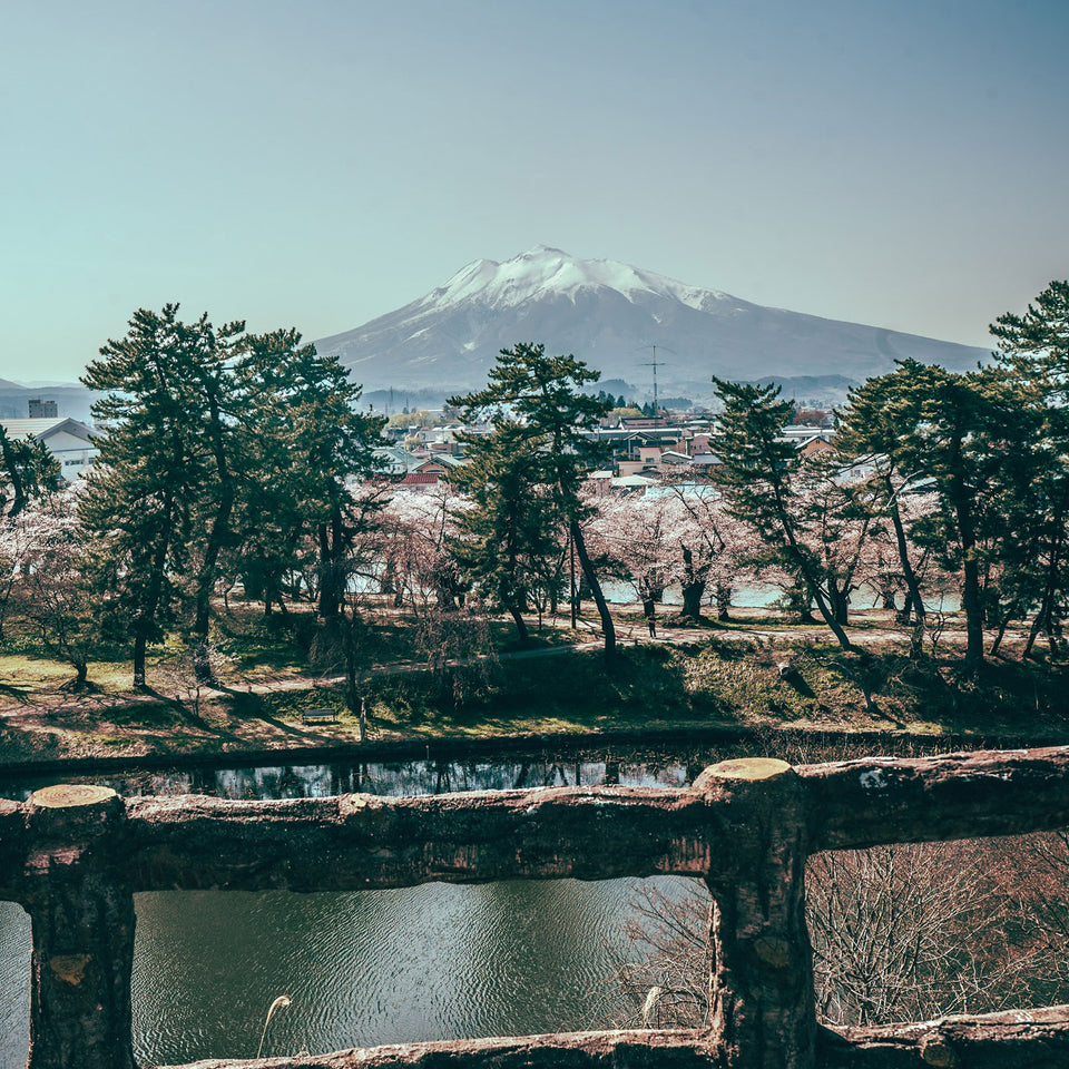 Nikka Whisky brand story