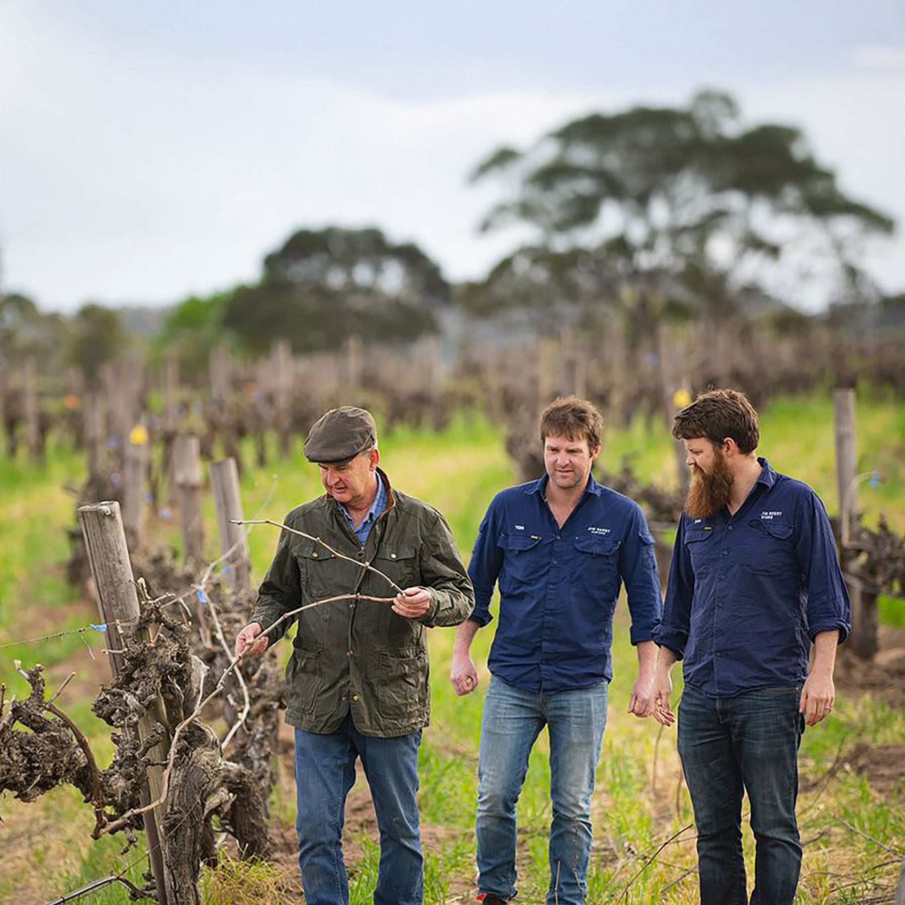 Jim Barry The Armagh Shiraz 2021