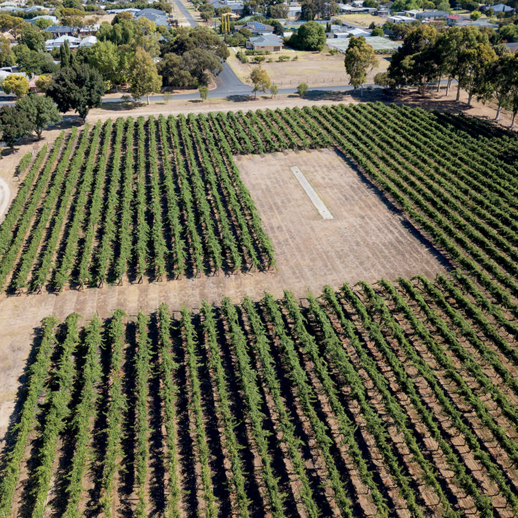 Jim Barry The Armagh Shiraz 2021