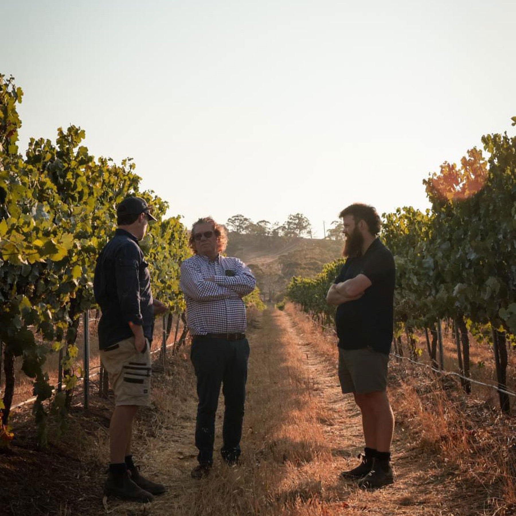 Jim Barry The Armagh Shiraz 2014