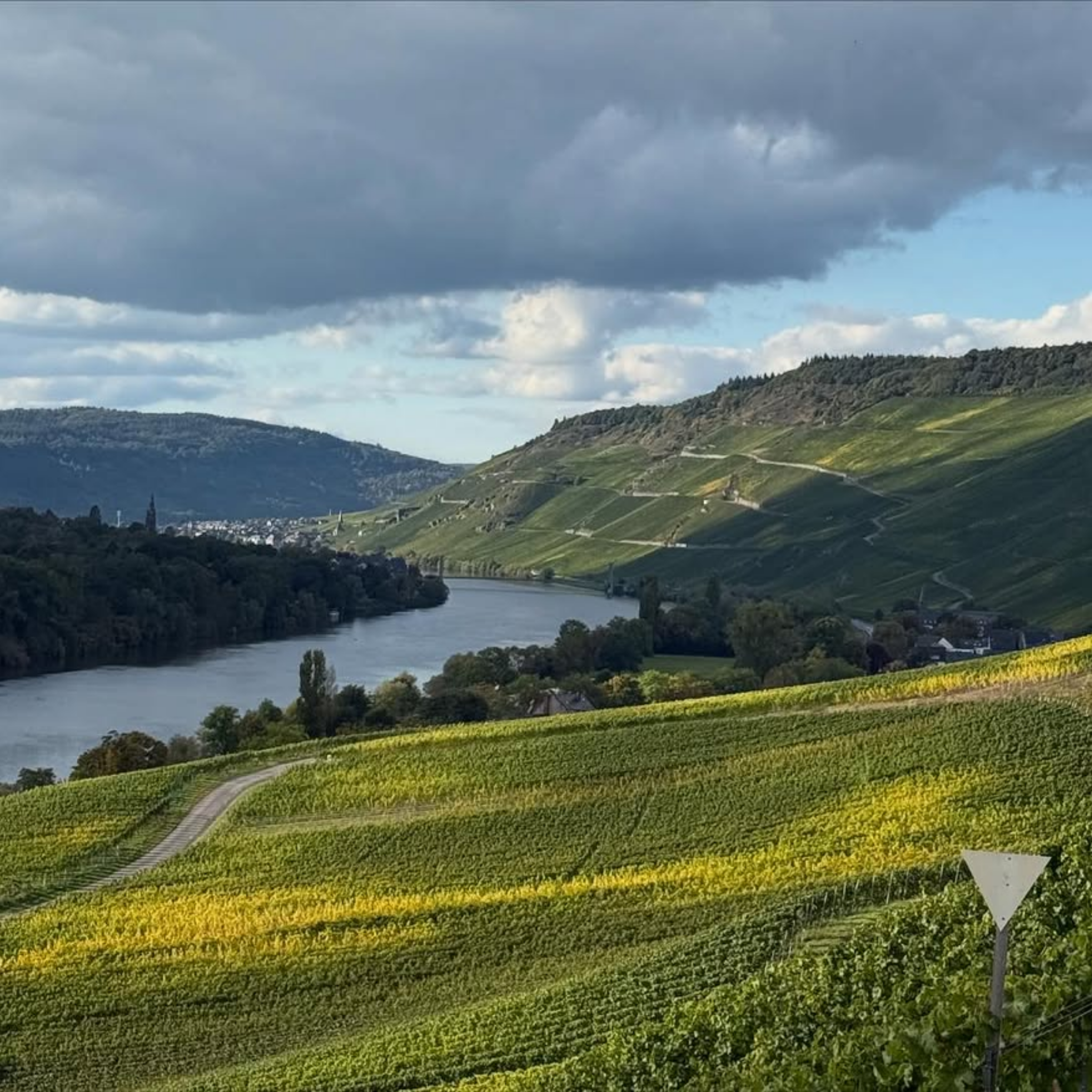 Joh Jos Prüm Wehlener Sonnenuhr Riesling Spätlese 2024