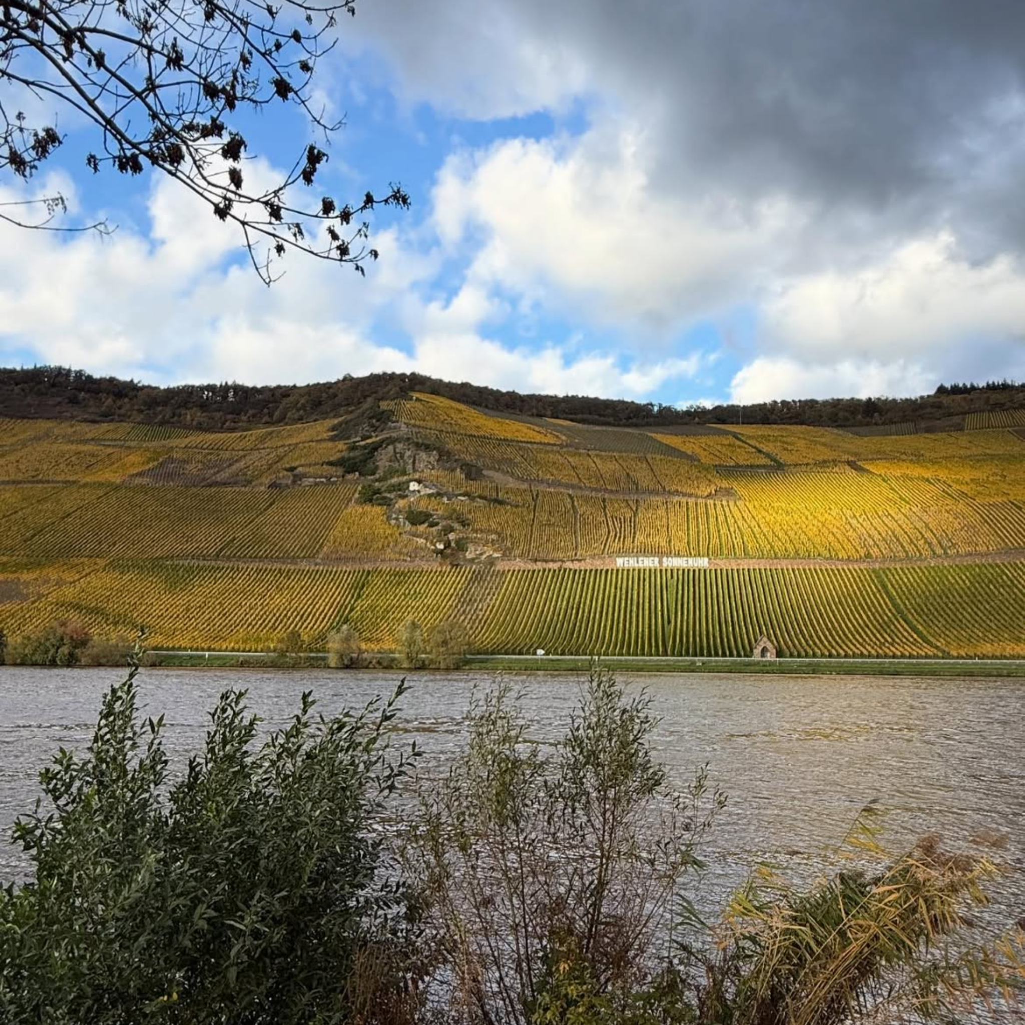 Joh Jos Prüm Wehlener Sonnenuhr Riesling Spätlese 2024