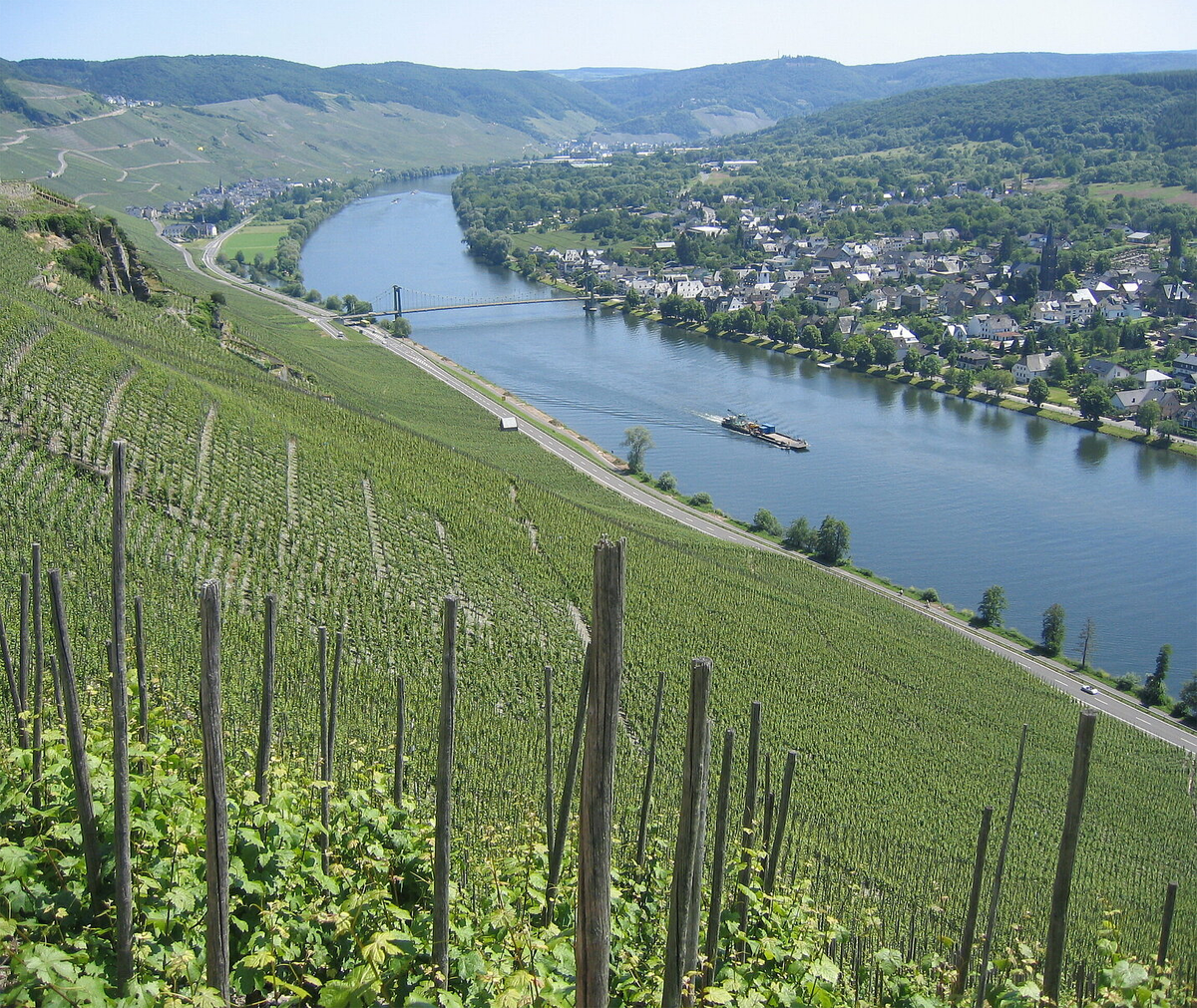 Joh Jos Prüm Wehlener Sonnenuhr Riesling Kabinett 2021 - Kent Street Cellars