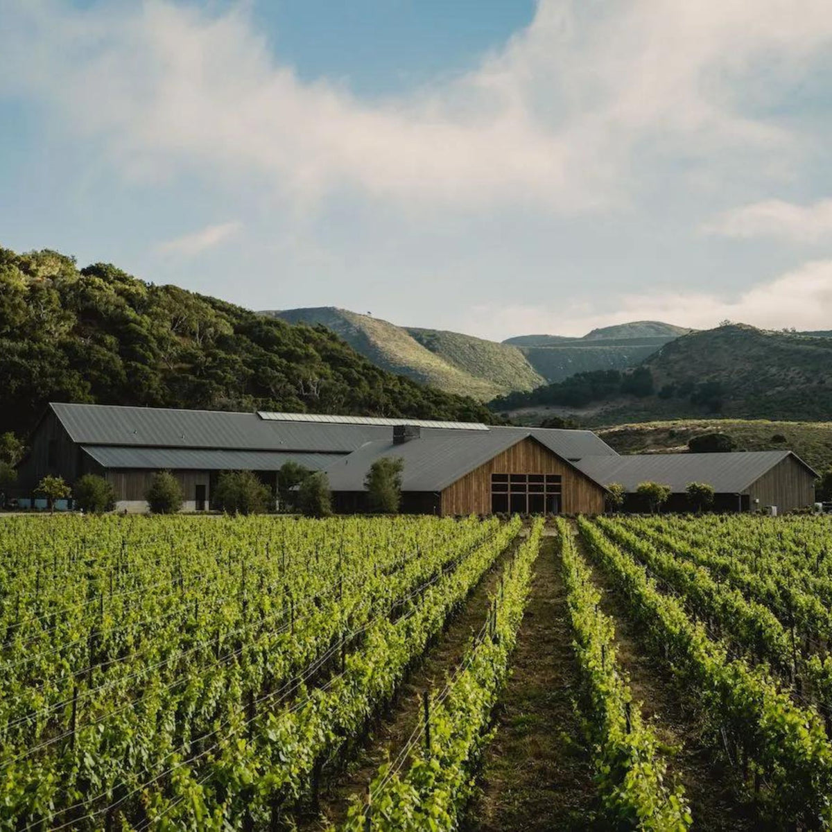 Jonata Winery - Kent Street Cellars