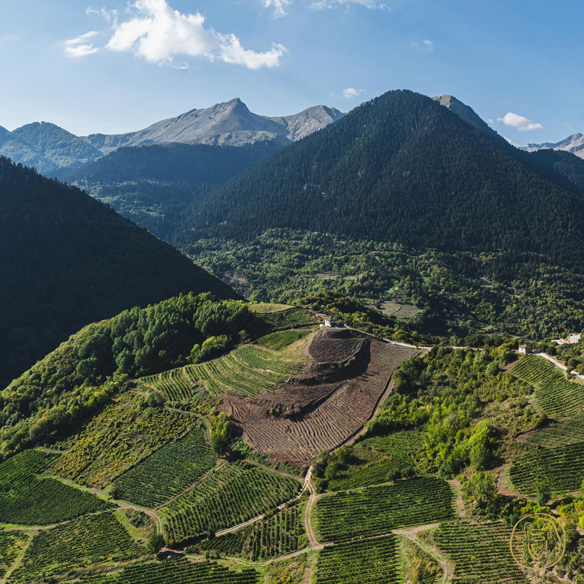 Katogi Averoff Tsipouro 40% 500ml