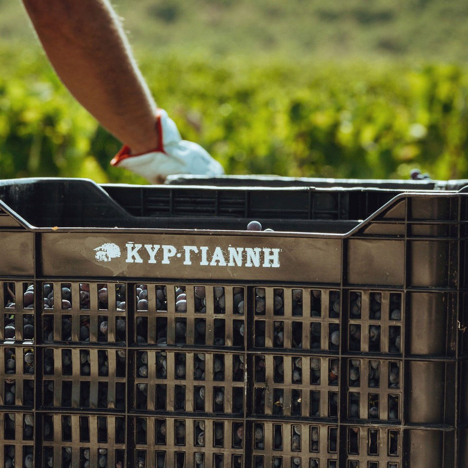 Vineyard brand story