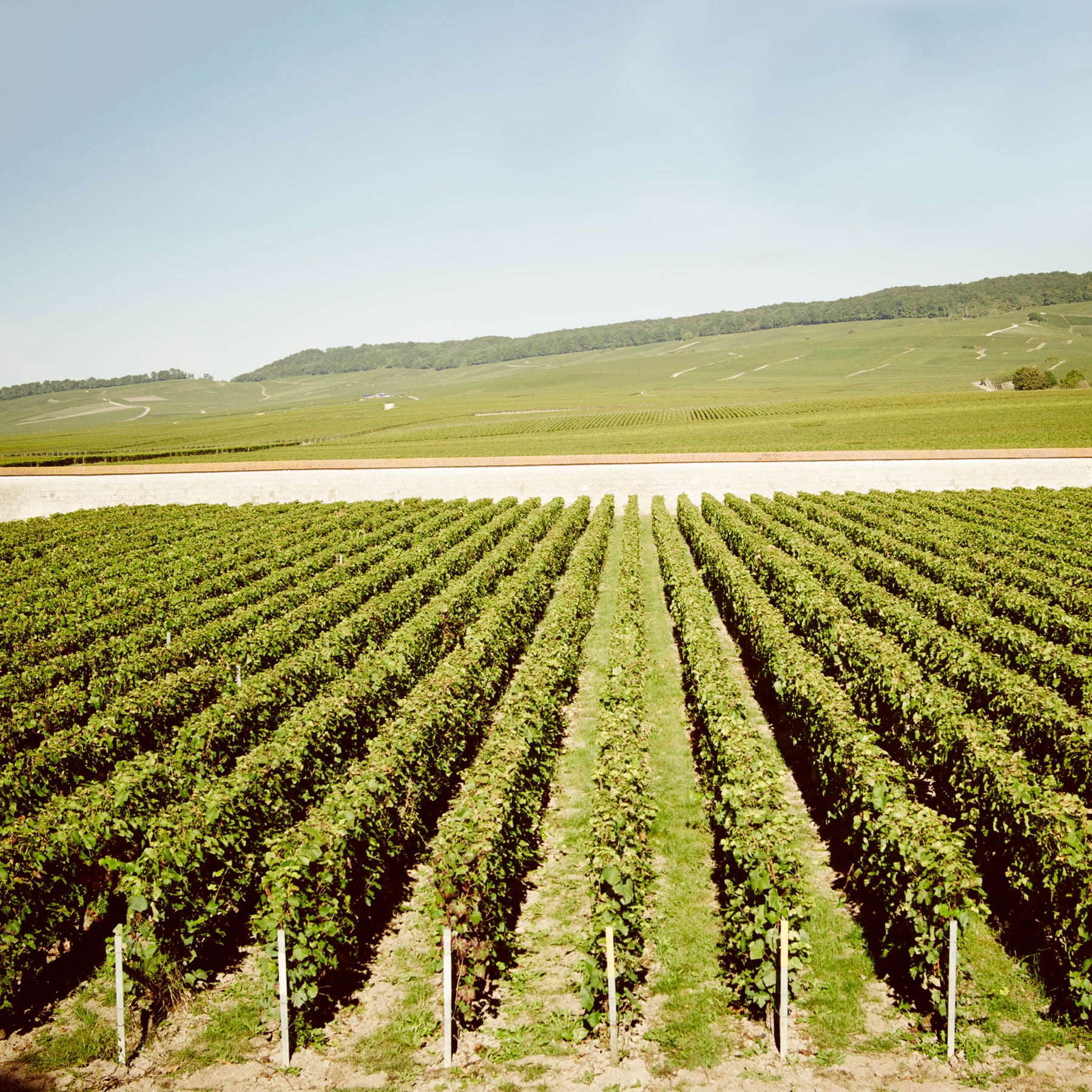 Krug Vintage 2002