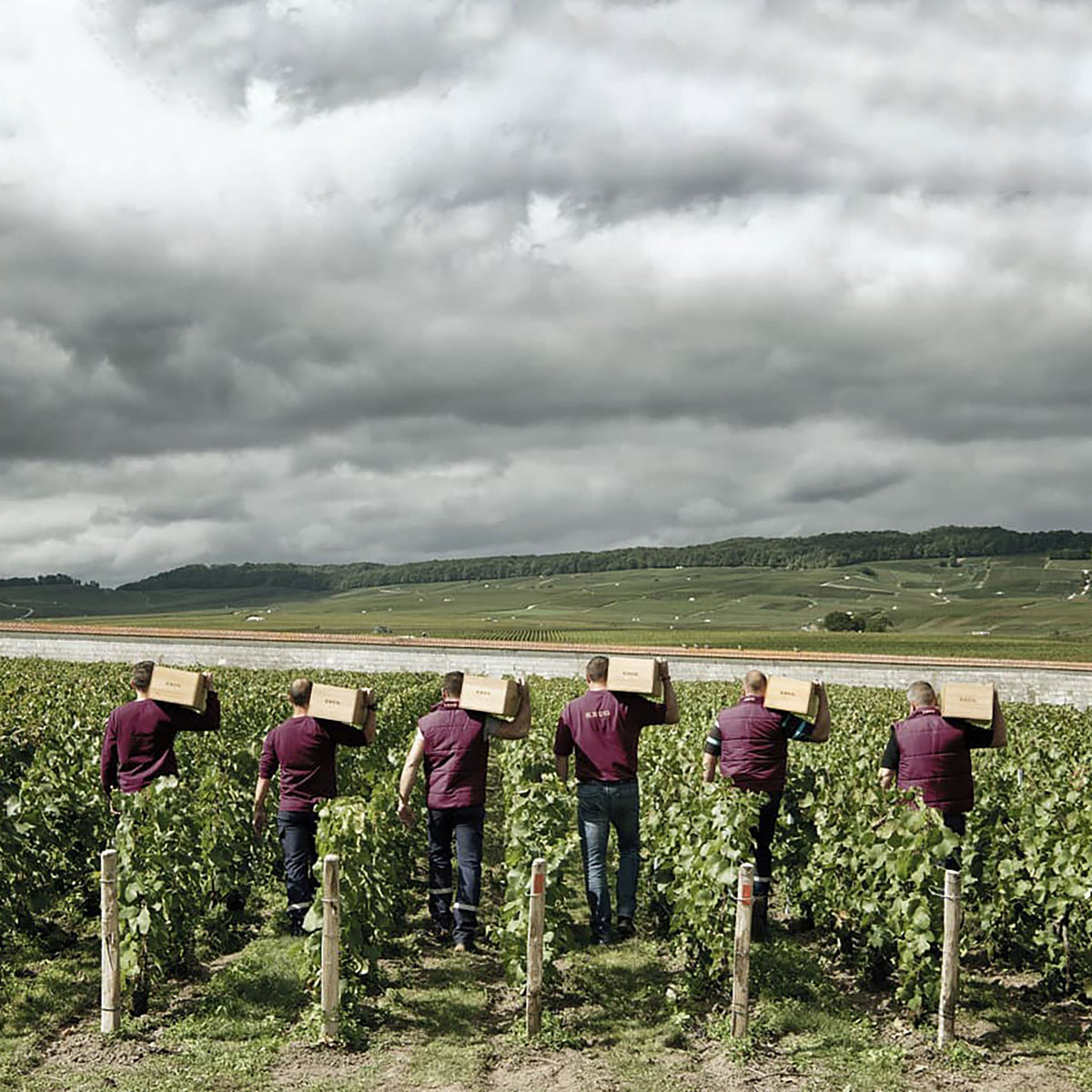 Krug Vintage 2011 - Kent Street Cellars