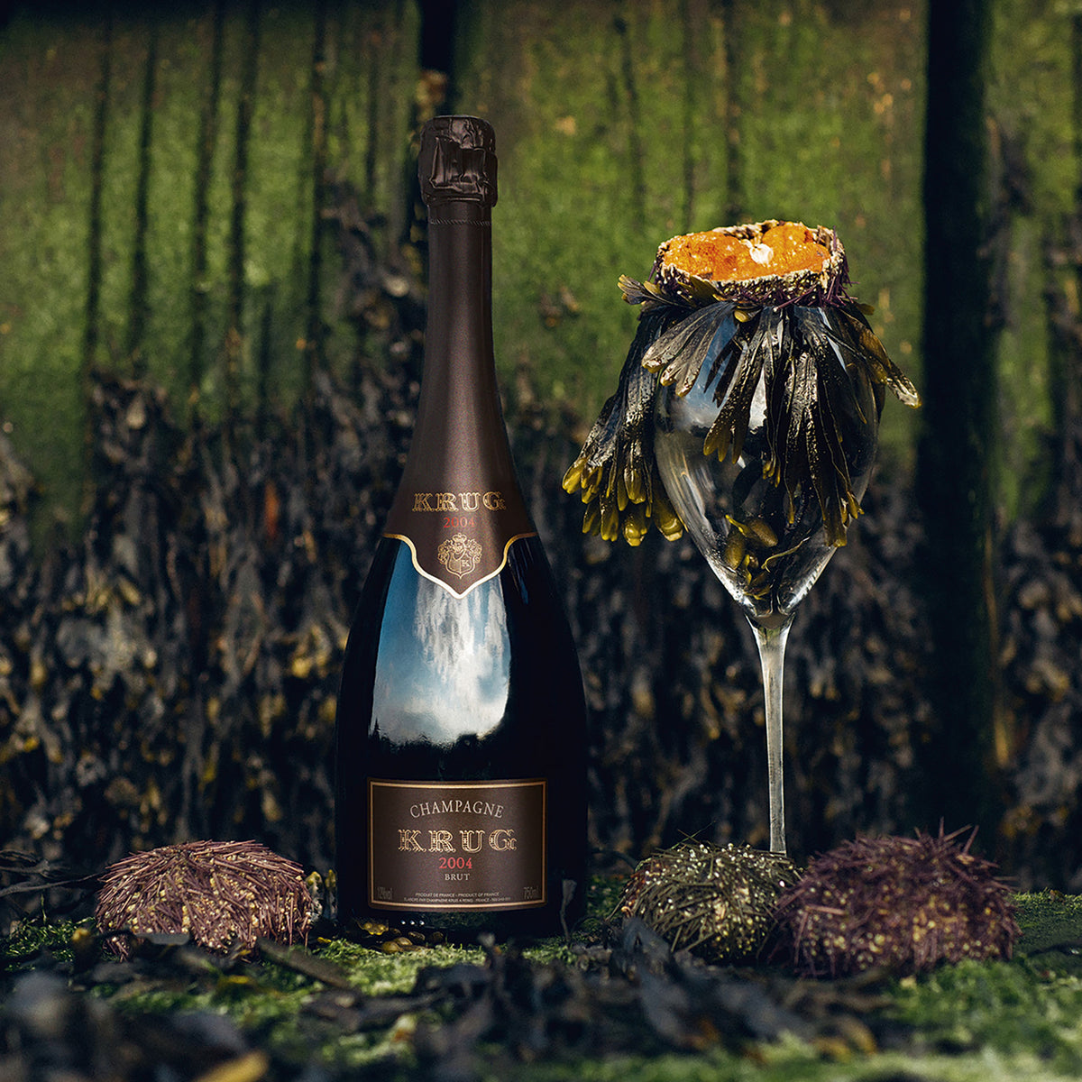 Krug Vintage 2004 - Kent Street Cellars