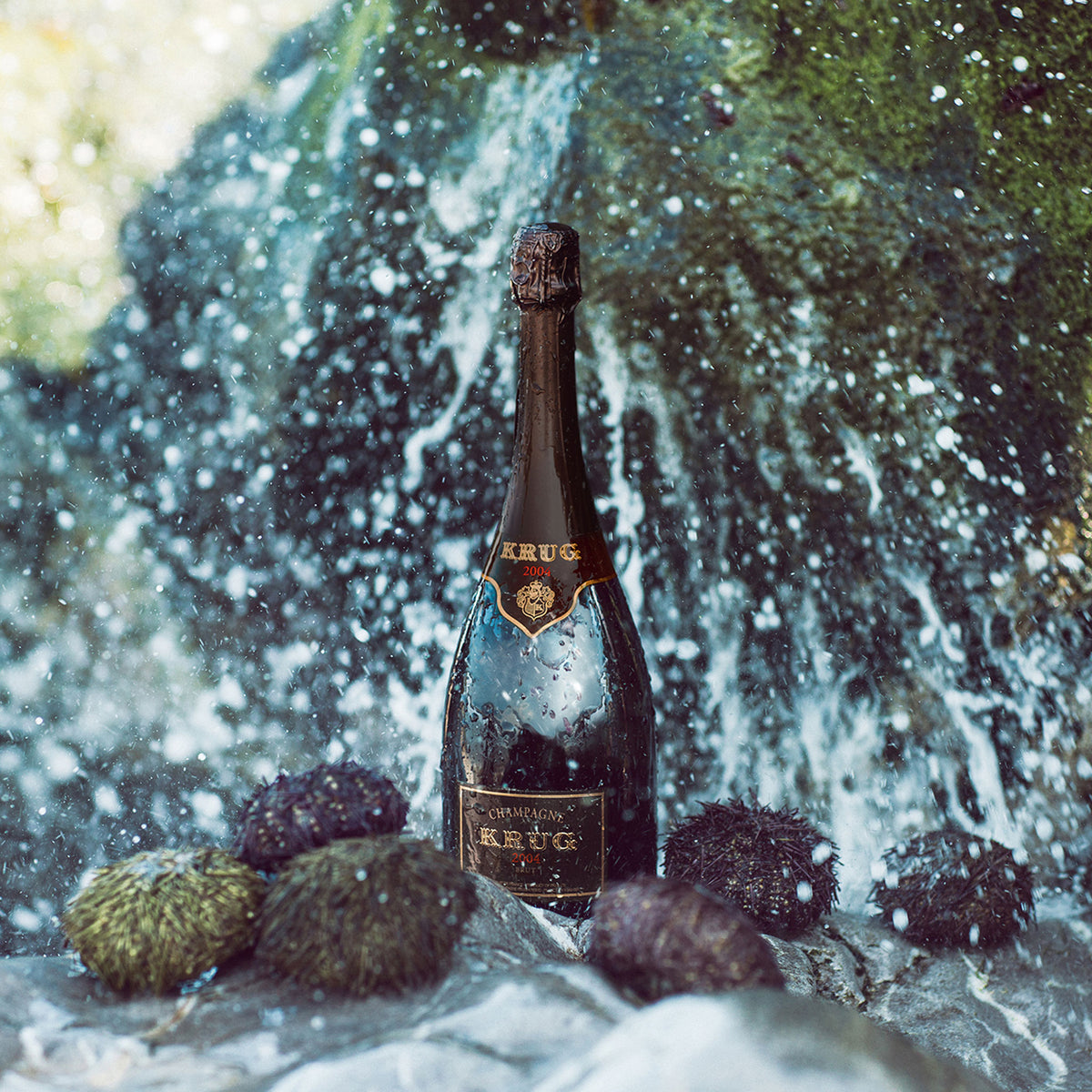 Krug Vintage 2006 - Kent Street Cellars