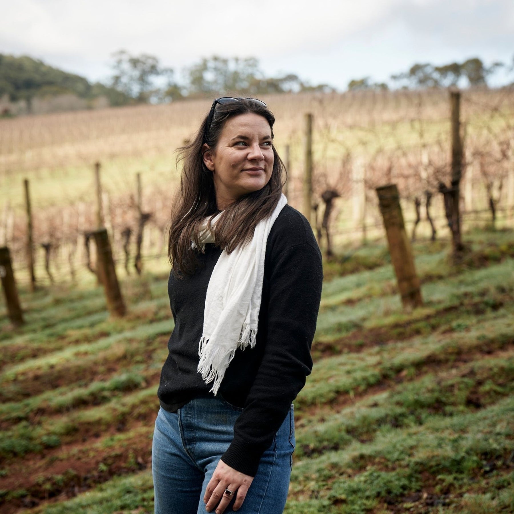 Giant Steps Yarra Valley Rose 2025