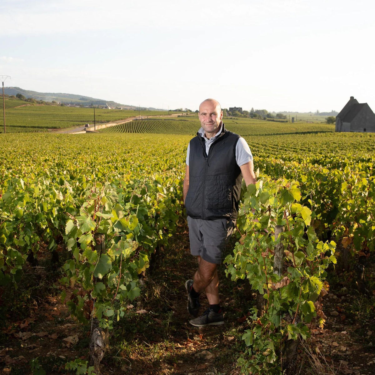 Pierre-Yves Colin-Morey Vosne Romanee 2022