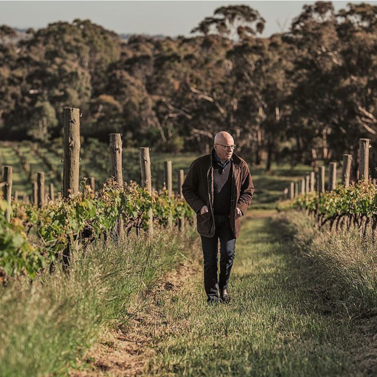 Grosset Polish Hill Riesling 2024 - Kent Street Cellars