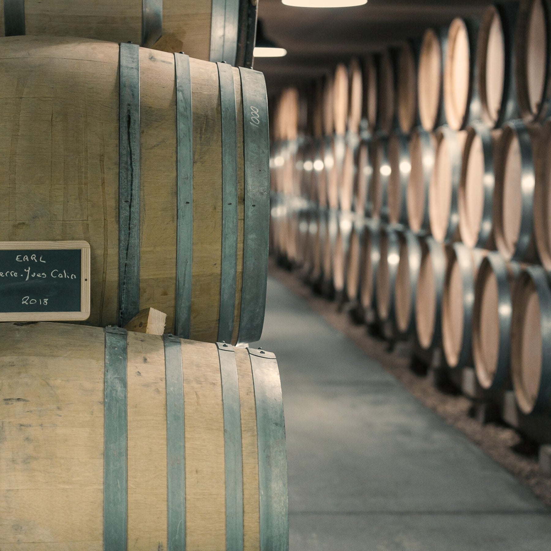 Caroline Morey Chassagne Montrachet Rouge 2022