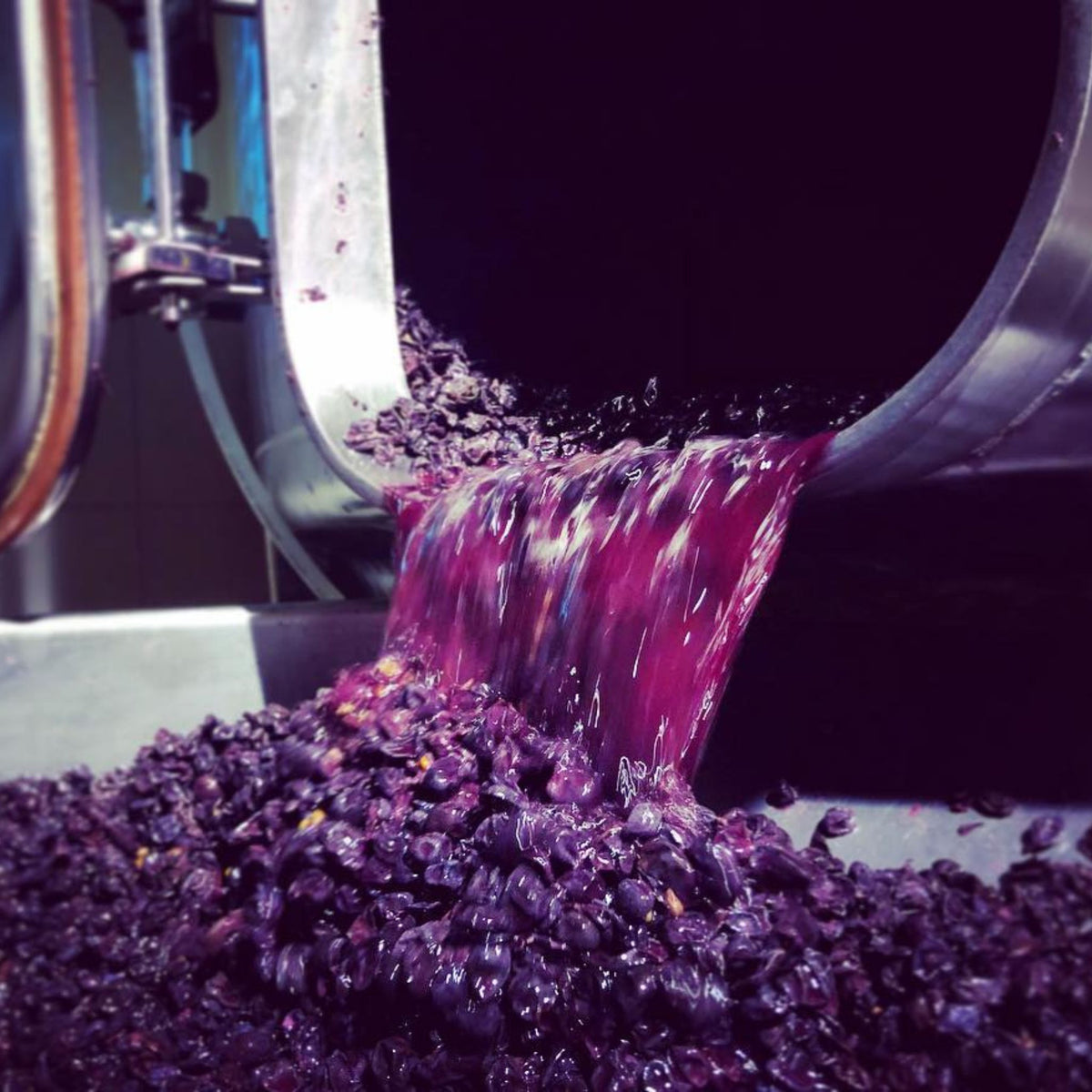 Benjamin Leroux Côte de Nuits-Villages 2022 - Kent Street Cellars