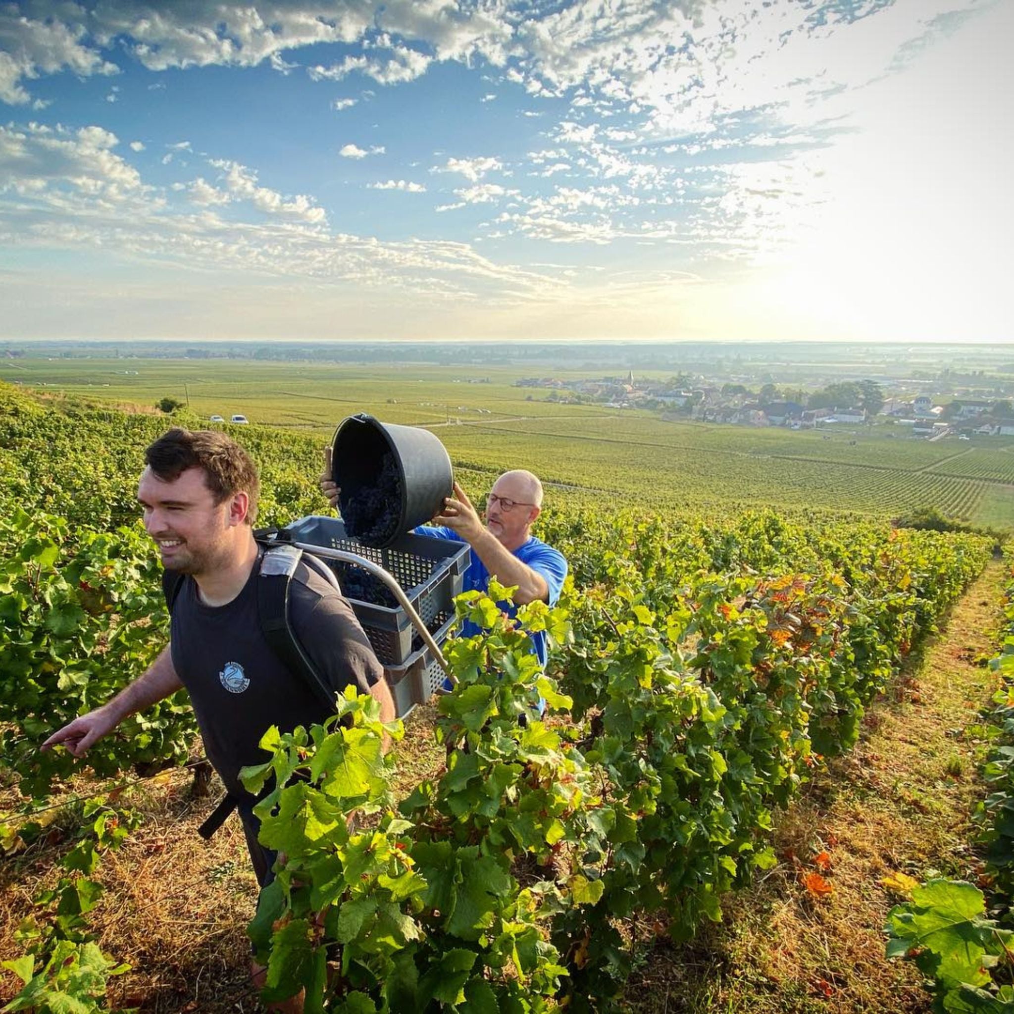 Benjamin Leroux Volnay 2022