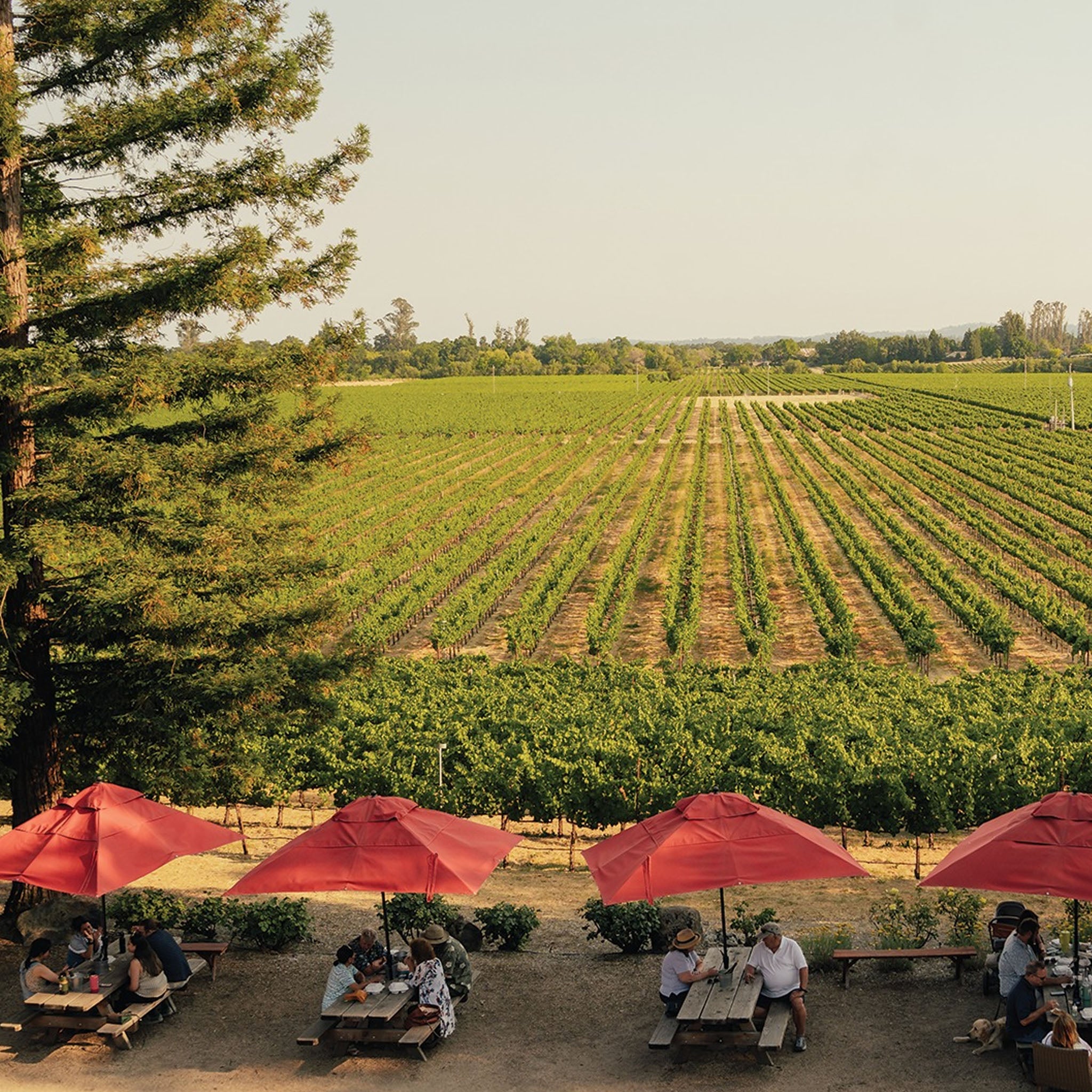 La Crema Russian River Valley Chardonnay 2023