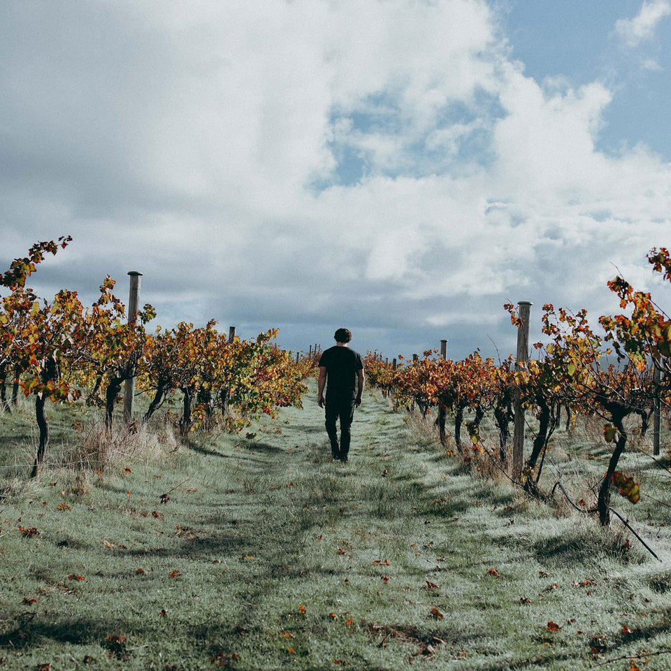 The Vineyard brand story
