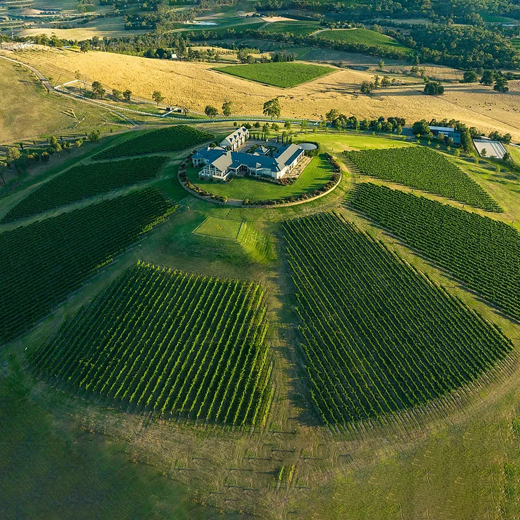 Levantine Hill Estate Cabernet Sauvignon 2018 - Kent Street Cellars