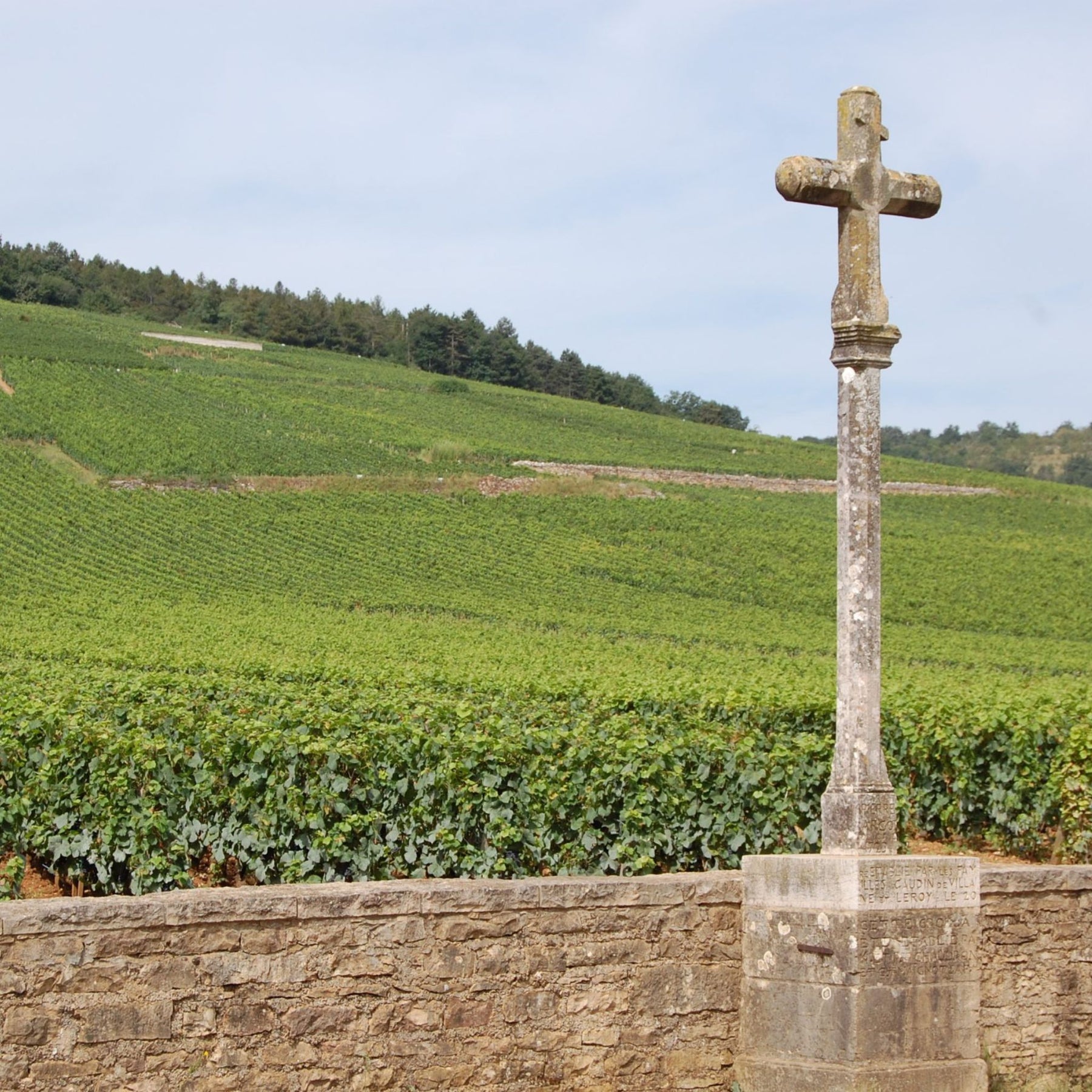 Sylvain Cathiard Bourgogne Rouge 2022