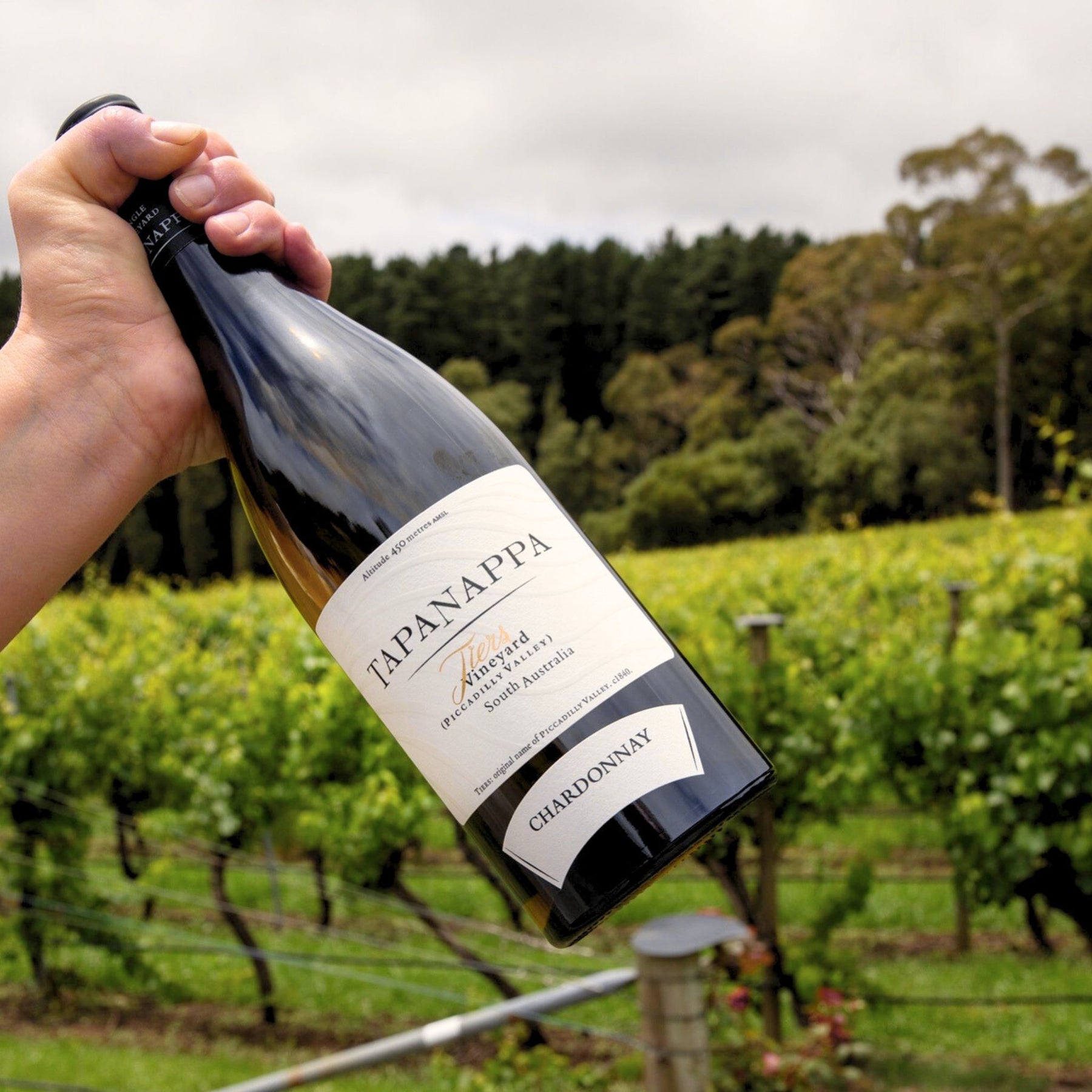 Tapanappa Tiers Vineyard Chardonnay 2019