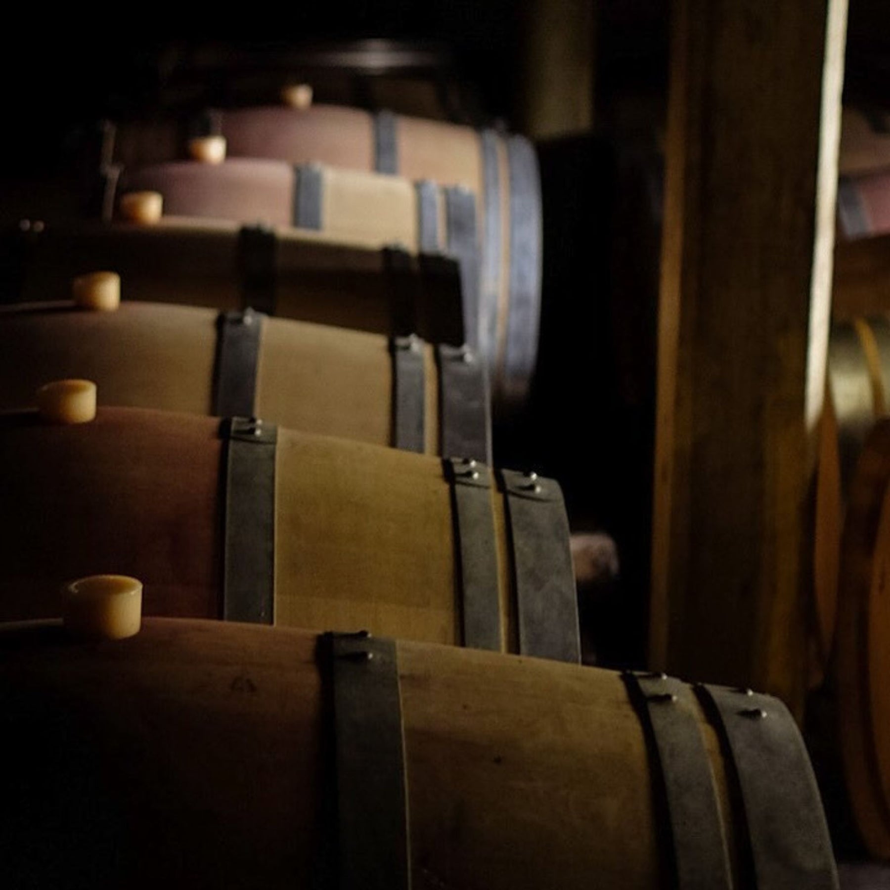 Yeringberg Marsanne Roussanne 2022