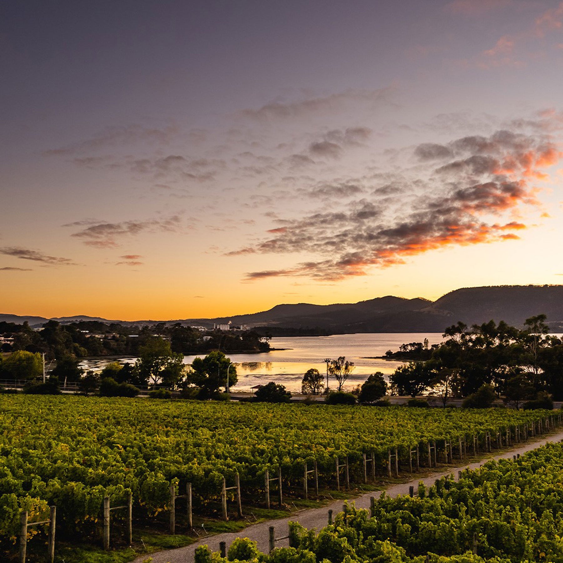 Lowestoft La Meilleure Chardonnay 2021