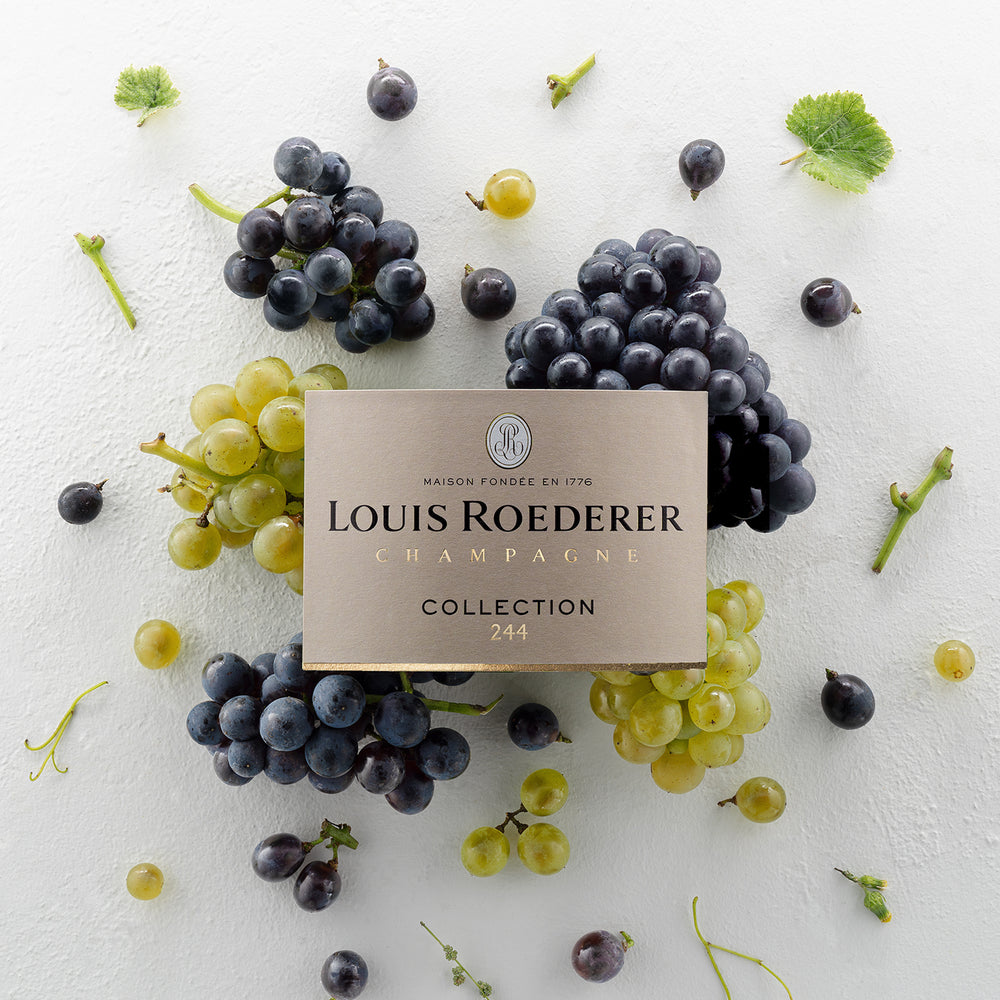 Louis Roederer Collection 244 NV + 2 Champagne Flutes