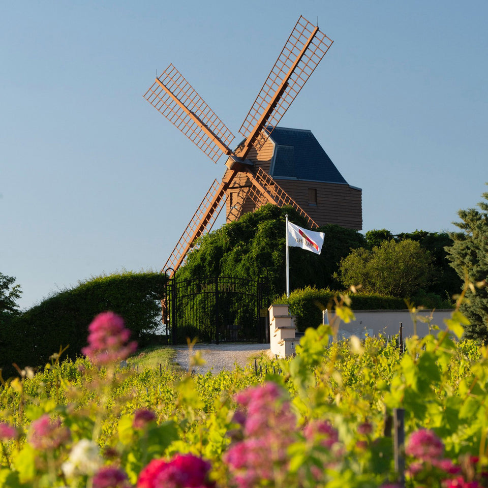 Maison Mumm brand story