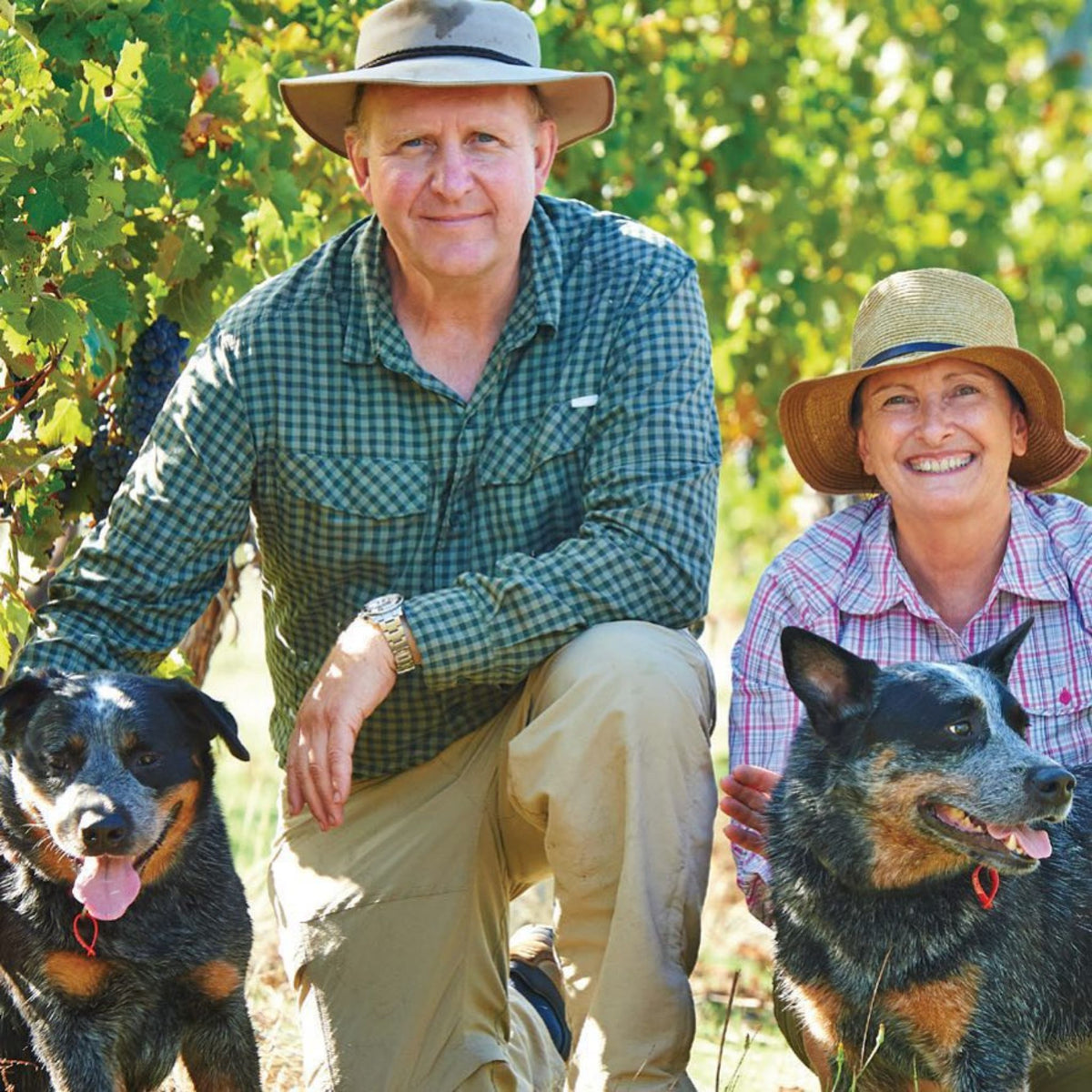 Clare & Keith Mugford, as winemakers, viticulturalists & proprietors, have been making wine & tending the vineyard at Moss Wood since 1984 & 1979, respectively. - Kent Street Cellars