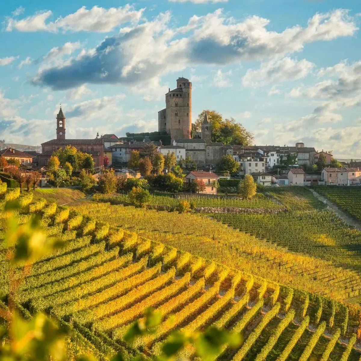 Massolino Barbaresco 2022