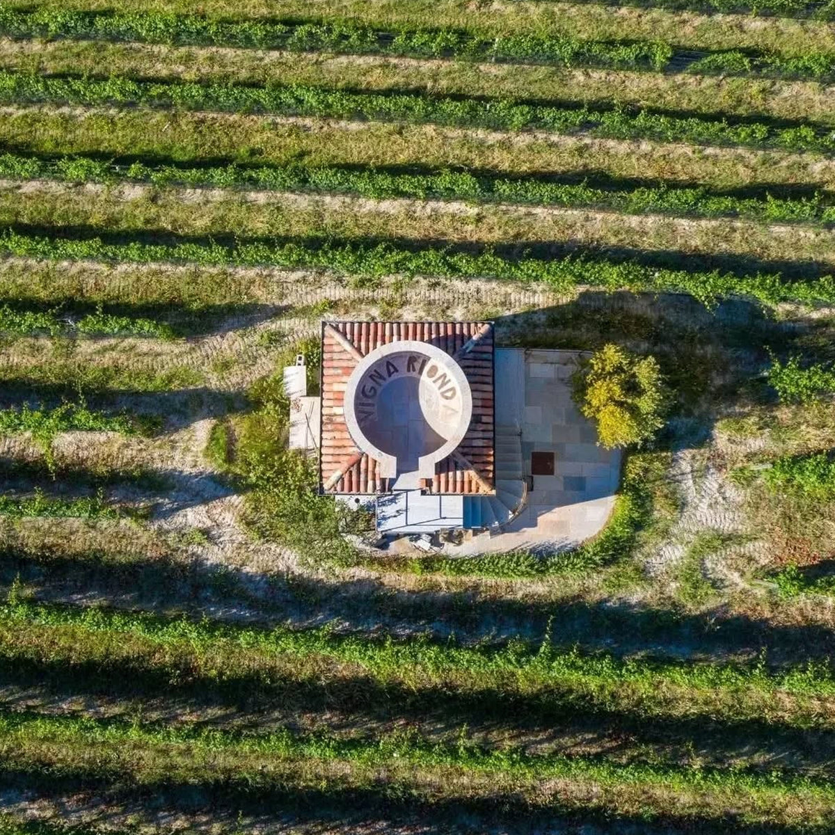 Massolino Barolo Vigna Rionda Riserva 2019