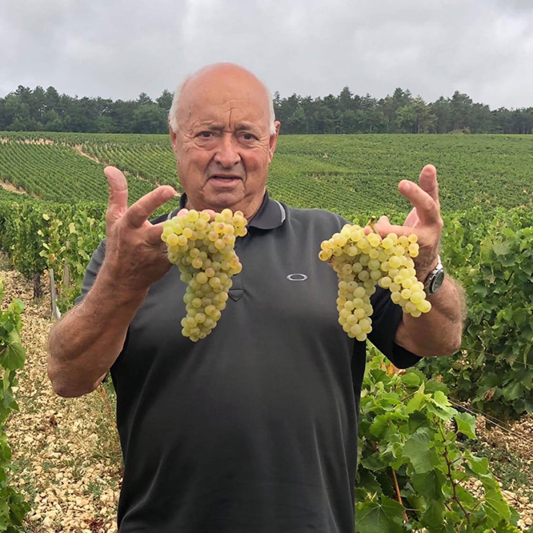 Domaine Christian Moreau Père Et Fils Chablis Grand Cru Valmur 2022 - Kent Street Cellars