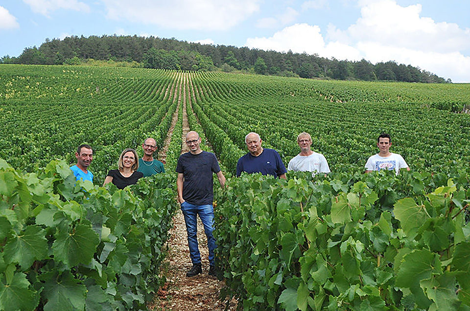 The Vineyard brand story