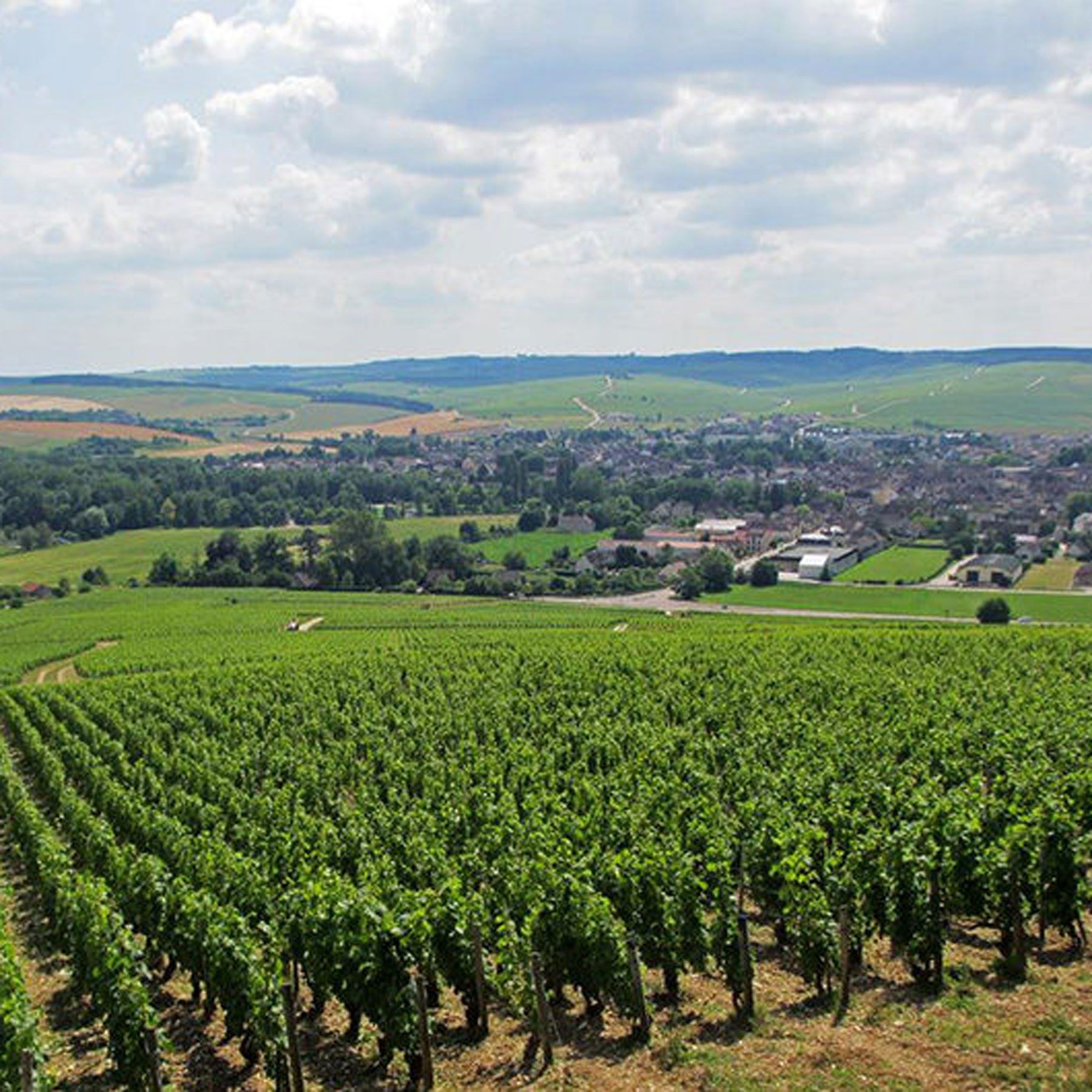 Domaine Christian Moreau Père Et Fils Chablis Grand Cru Valmur 2022 - Kent Street Cellars