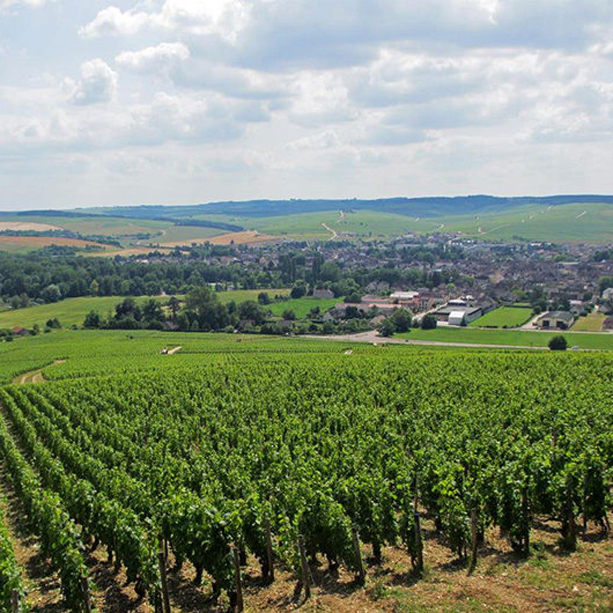 Domaine Christian Moreau Père Et Fils Chablis Grand Cru Les Clos Clos des Hospices 2022