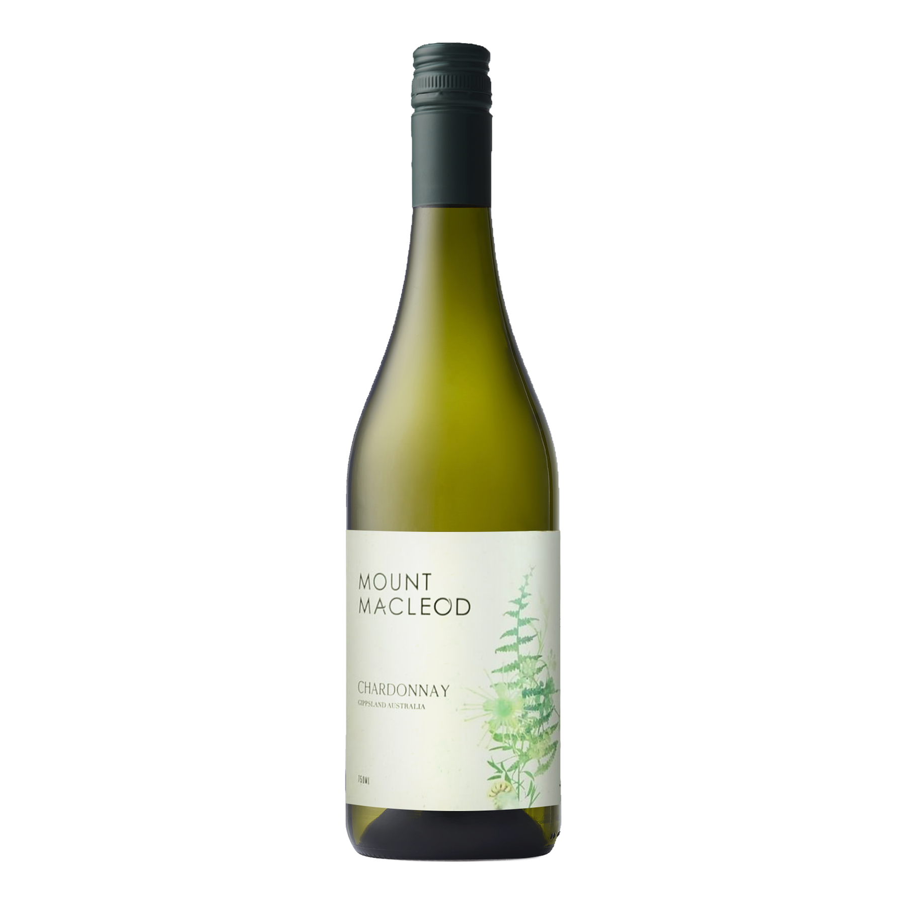 Mount Macleod Chardonnay 2024 - Kent Street Cellars
